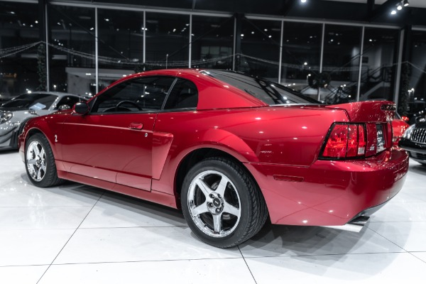 Used-2004-Ford-Mustang-SVT-Cobra-Coupe-Terminator-ONLY-14k-Miles-6-Speed-Manual-Collector-Condition