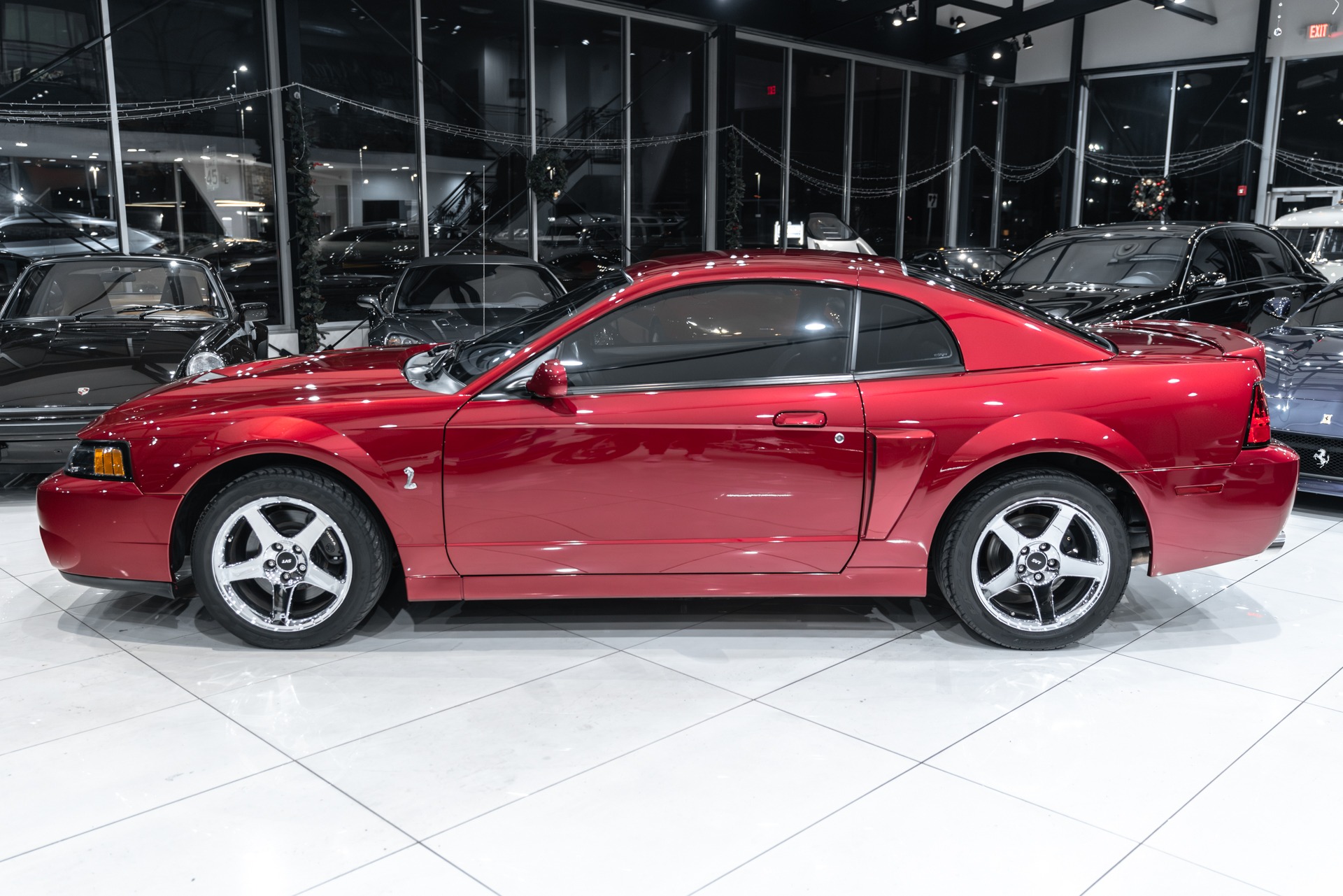 Used-2004-Ford-Mustang-SVT-Cobra-Coupe-Terminator-ONLY-14k-Miles-6-Speed-Manual-Collector-Condition