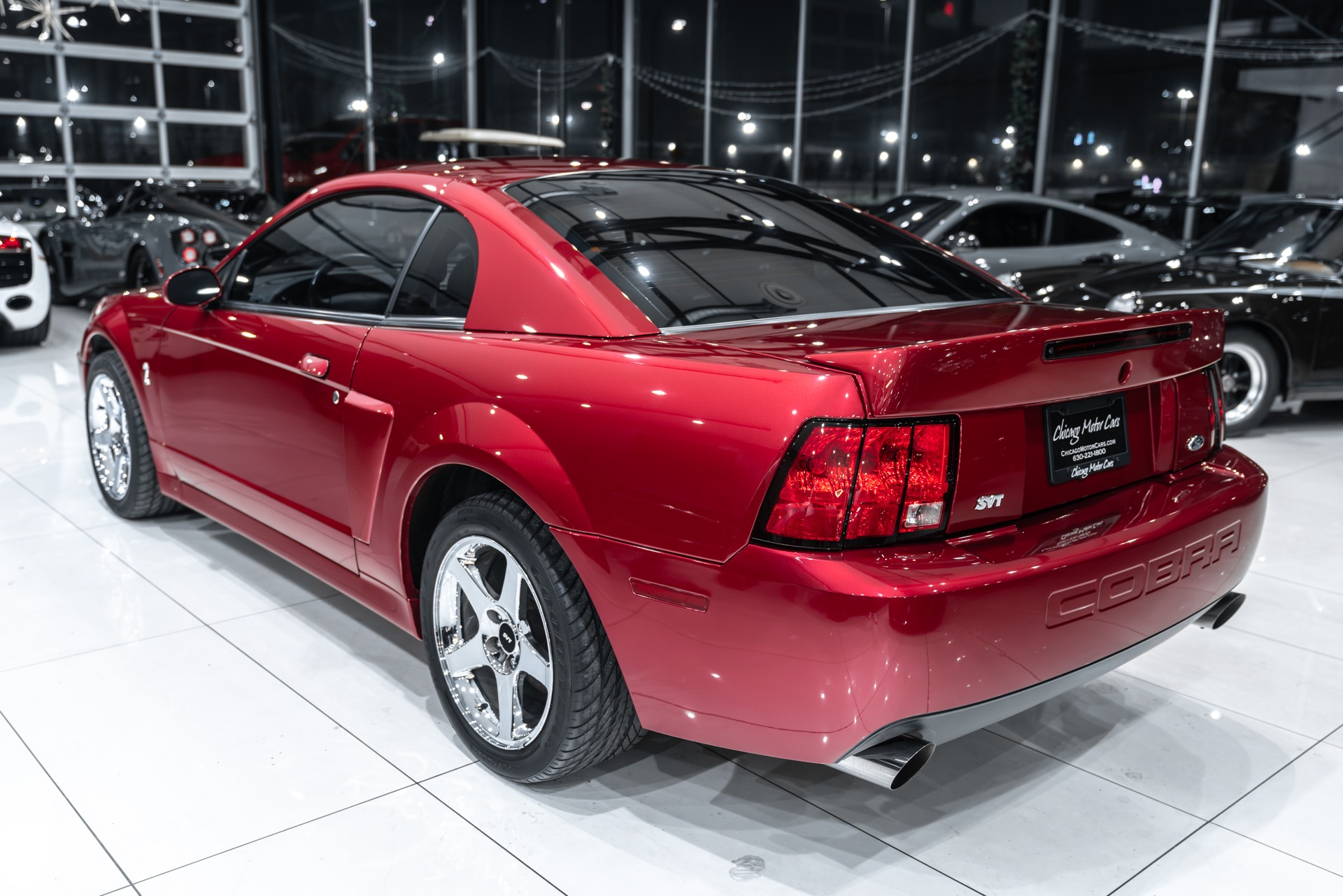 Used-2004-Ford-Mustang-SVT-Cobra-Coupe-Terminator-ONLY-14k-Miles-6-Speed-Manual-Collector-Condition