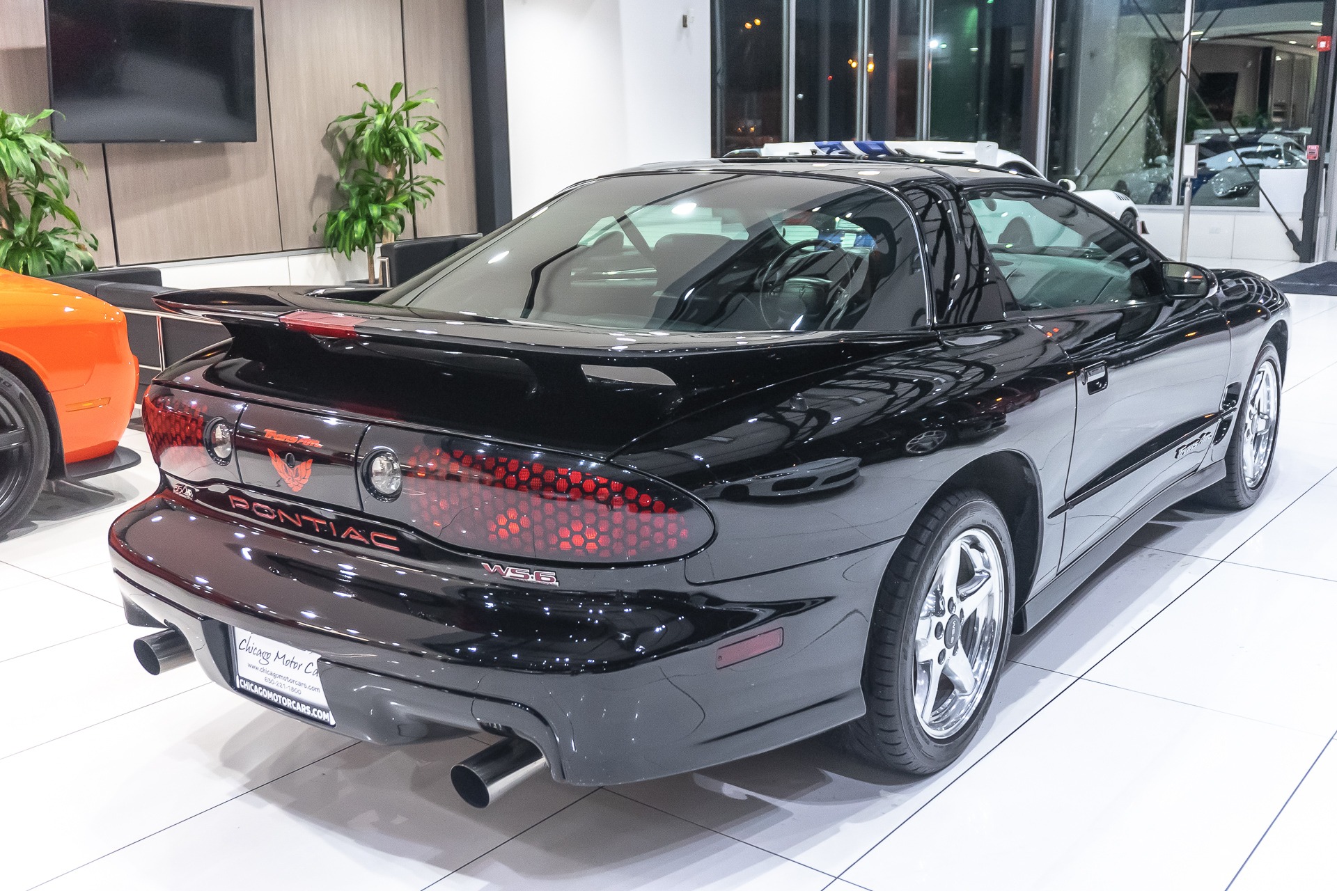 Used-2001-Pontiac-Firebird-Trans-Am-WS6-T-Top-Coupe-6-Speed-SLP-Performance-Pkg